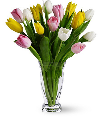 Teleflora's Tulip Treasure